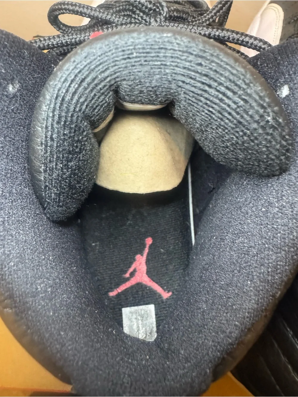 Jordan 12 “Playoffs” (2022)